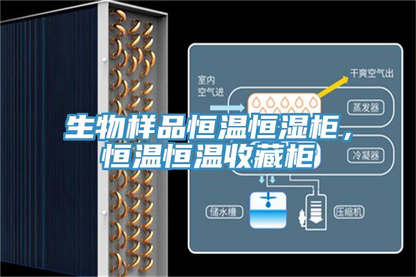 生物样品恒温恒湿柜，恒温恒温收藏柜