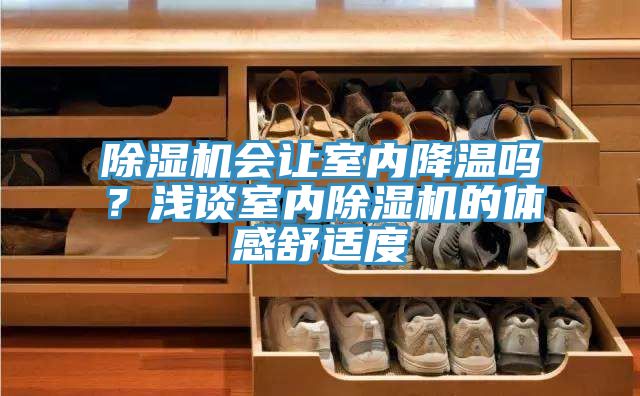 猫咪成人官网会让室内降温吗？浅谈室内猫咪成人官网的体感舒适度