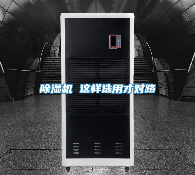 猫咪成人官网 这样选用才对路