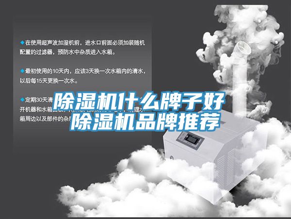 猫咪成人官网什么牌子好 猫咪成人官网品牌推荐