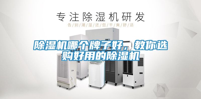 猫咪成人官网哪个牌子好，教你选购好用的猫咪成人官网