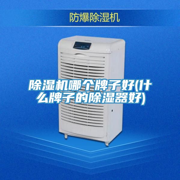 猫咪成人官网哪个牌子好(什么牌子的除湿器好)