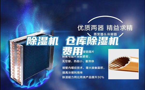 猫咪成人官网 仓库猫咪成人官网费用