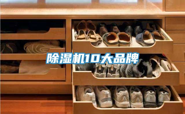 猫咪成人官网10大品牌