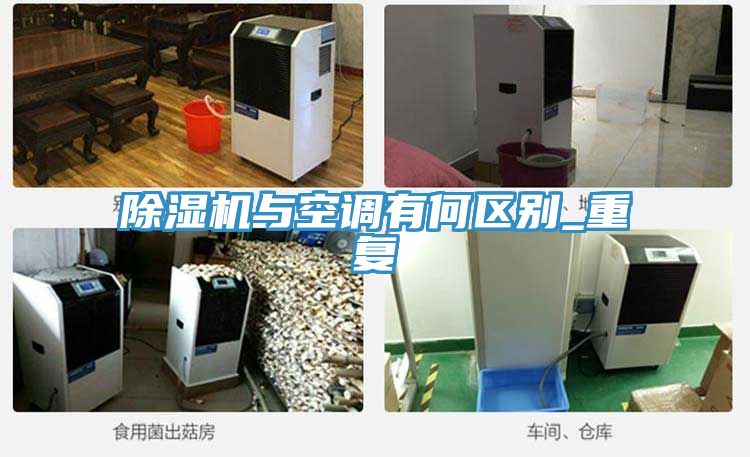 猫咪成人官网与空调有何区别_重复