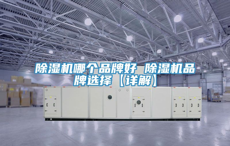 猫咪成人官网哪个品牌好 猫咪成人官网品牌选择【详解】