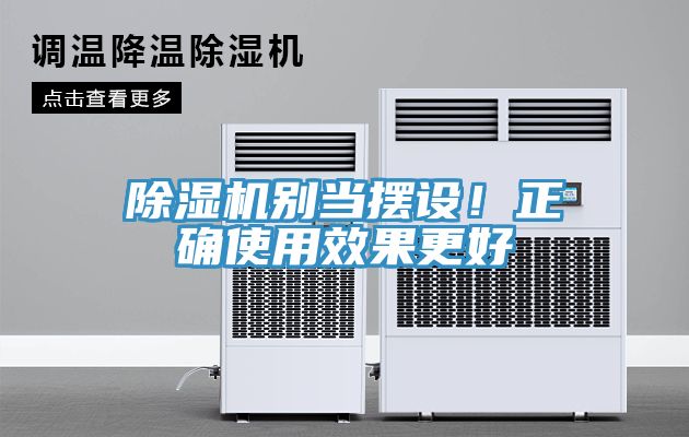 猫咪成人官网别当摆设！正确使用效果更好