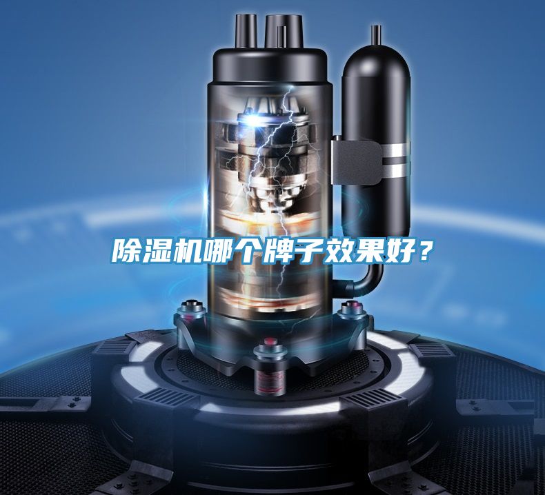 猫咪成人官网哪个牌子效果好？