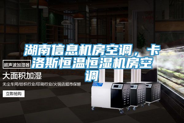 湖南信息机房空调，卡洛斯恒温恒湿机房空调