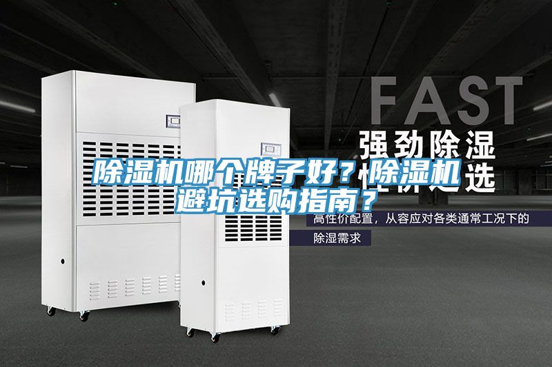 猫咪成人官网哪个牌子好？猫咪成人官网避坑选购指南？