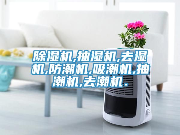 猫咪成人官网,抽湿机,去湿机,防潮机,吸潮机,抽潮机,去潮机．