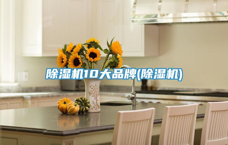 猫咪成人官网10大品牌(猫咪成人官网)