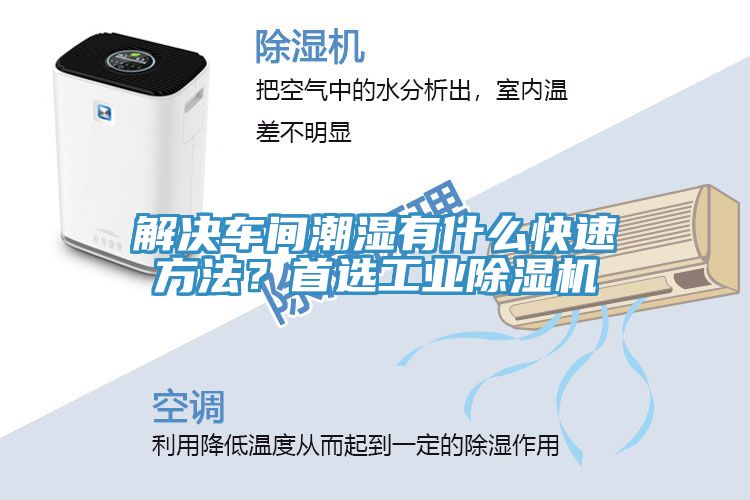解决车间潮湿有什么快速方法？首选工业猫咪成人官网