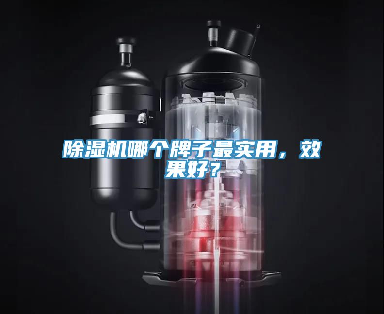猫咪成人官网哪个牌子最实用，效果好？