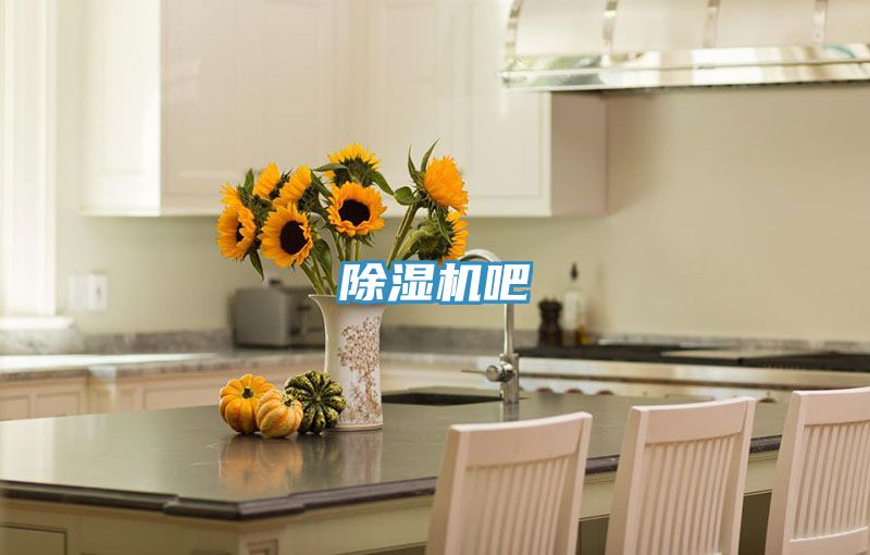 猫咪成人官网吧