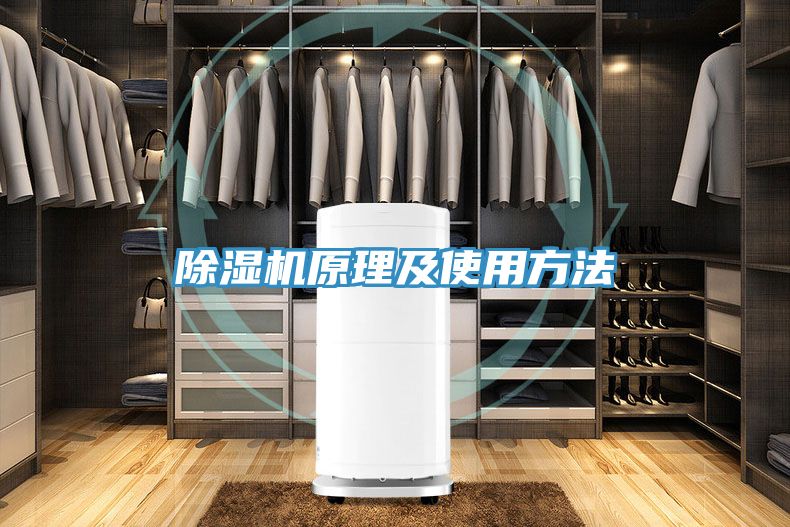 猫咪成人官网原理及使用方法