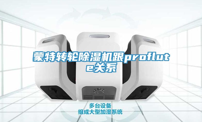 蒙特转轮猫咪成人官网跟proflute关系