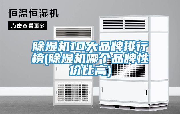 猫咪成人官网10大品牌排行榜(猫咪成人官网哪个品牌性价比高)