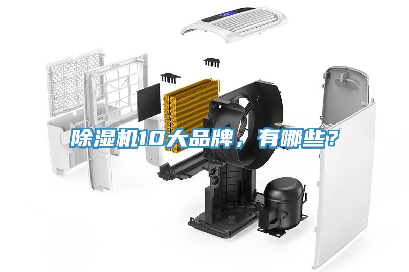 猫咪成人官网10大品牌，有哪些？