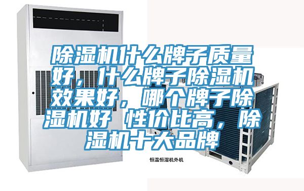 猫咪成人官网什么牌子质量好，什么牌子猫咪成人官网效果好，哪个牌子猫咪成人官网好 性价比高，猫咪成人官网十大品牌