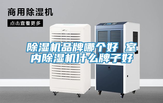 猫咪成人官网品牌哪个好 室内猫咪成人官网什么牌子好