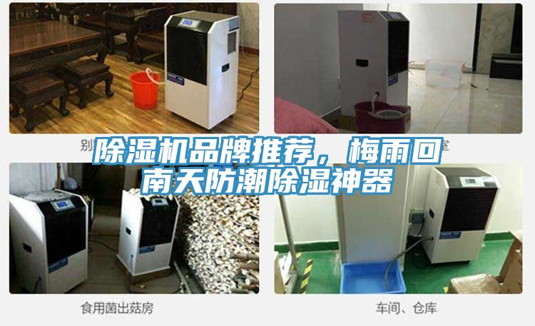 猫咪成人官网品牌推荐，梅雨回南天防潮除湿神器