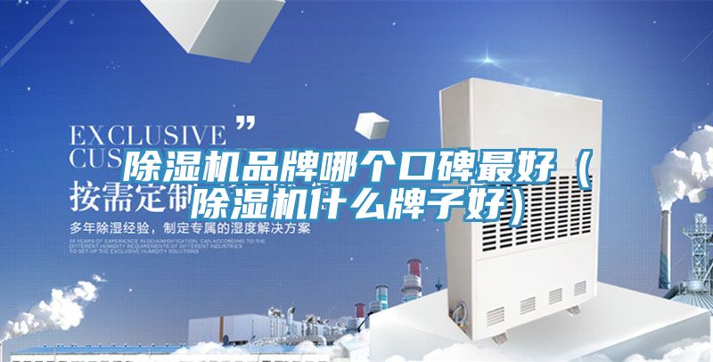 猫咪成人官网品牌哪个口碑最好（猫咪成人官网什么牌子好）
