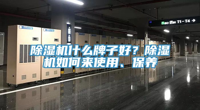 猫咪成人官网什么牌子好？猫咪成人官网如何来使用、保养