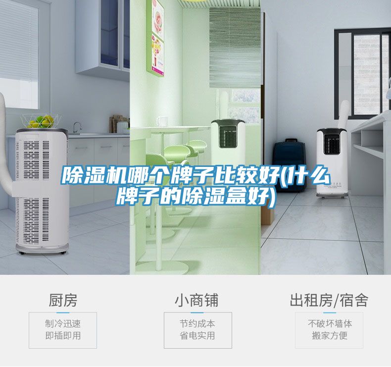 猫咪成人官网哪个牌子比较好(什么牌子的除湿盒好)