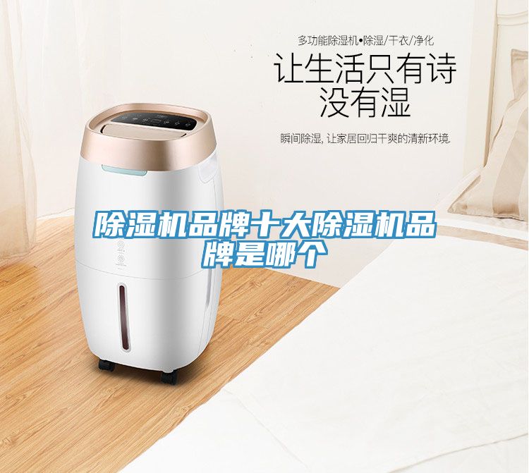 猫咪成人官网品牌十大猫咪成人官网品牌是哪个