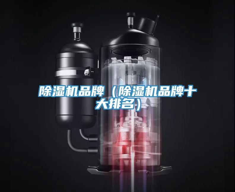 猫咪成人官网品牌（猫咪成人官网品牌十大排名）