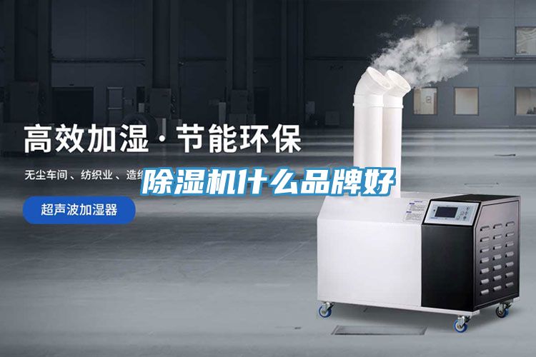 猫咪成人官网什么品牌好