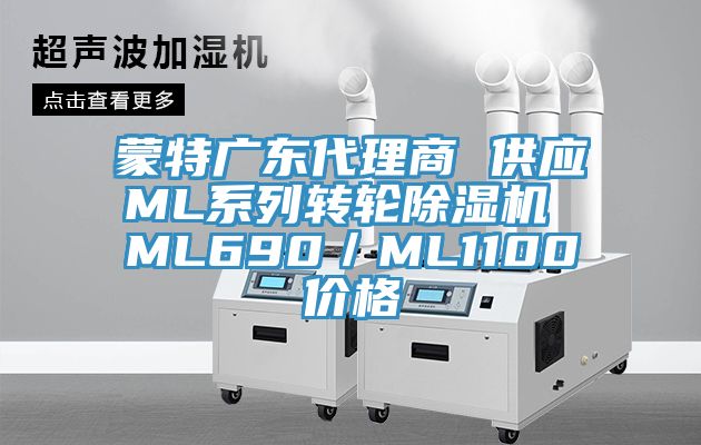 蒙特广东代理商 供应ML系列转轮猫咪成人官网 ML690／ML1100价格