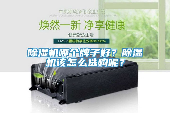 猫咪成人官网哪个牌子好？猫咪成人官网该怎么选购呢？