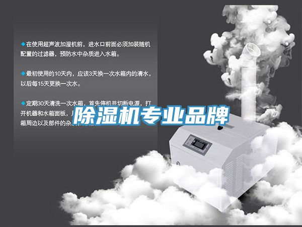 猫咪成人官网专业品牌