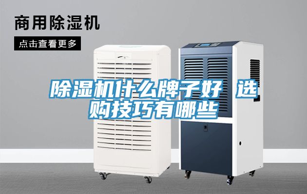 猫咪成人官网什么牌子好 选购技巧有哪些