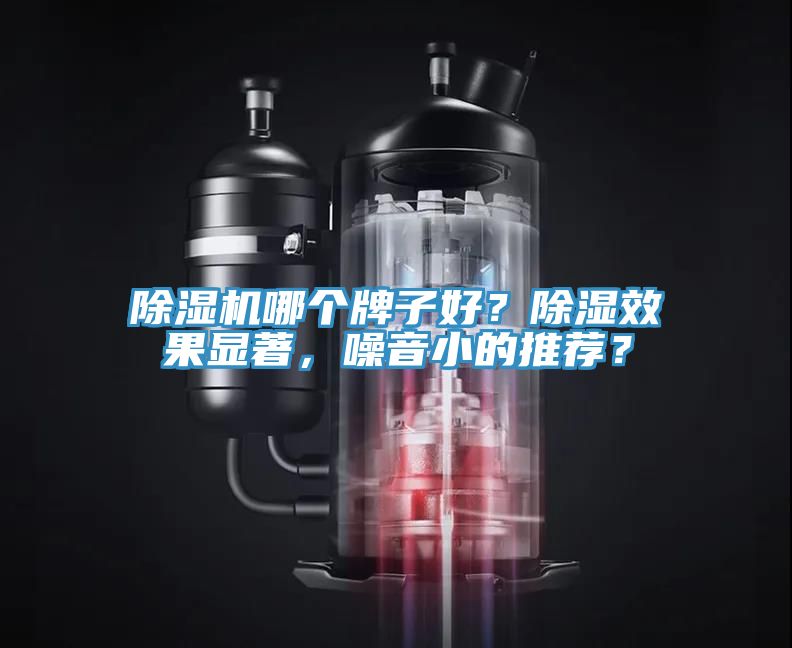猫咪成人官网哪个牌子好？除湿效果显著，噪音小的推荐？