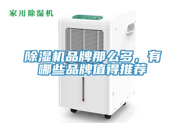 猫咪成人官网品牌那么多，有哪些品牌值得推荐