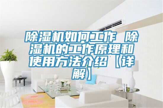 猫咪成人官网如何工作 猫咪成人官网的工作原理和使用方法介绍【详解】