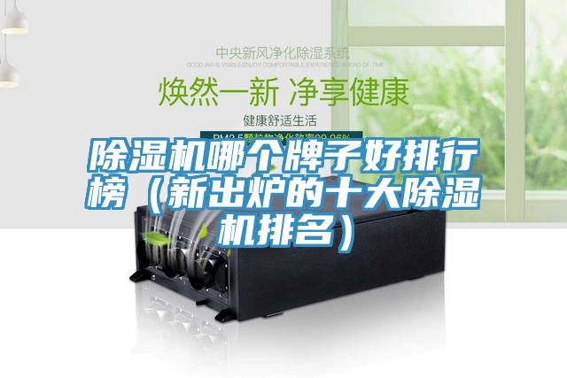 猫咪成人官网哪个牌子好排行榜（新出炉的十大猫咪成人官网排名）