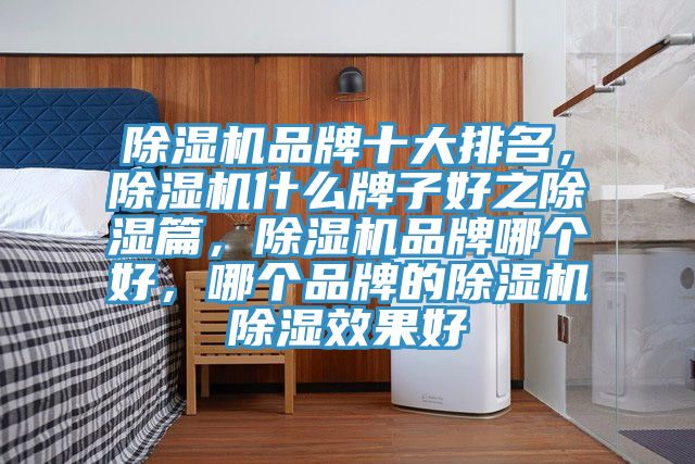 猫咪成人官网品牌十大排名，猫咪成人官网什么牌子好之除湿篇，猫咪成人官网品牌哪个好，哪个品牌的猫咪成人官网除湿效果好