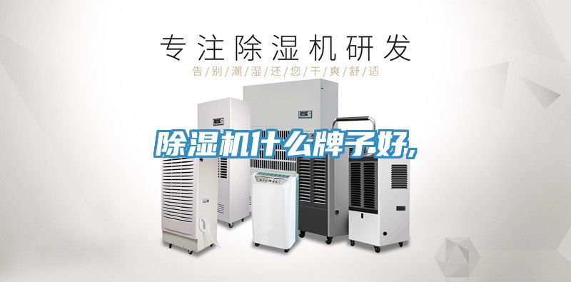 猫咪成人官网什么牌子好,