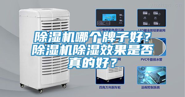 猫咪成人官网哪个牌子好？猫咪成人官网除湿效果是否真的好？