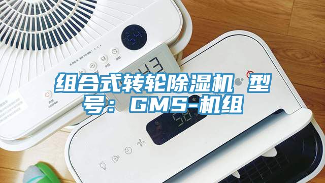 组合式转轮猫咪成人官网 型号：GMS-机组