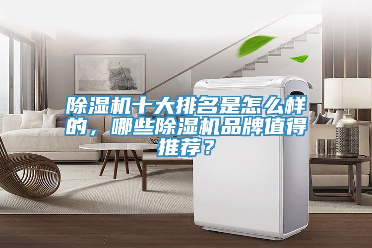 猫咪成人官网十大排名是怎么样的，哪些猫咪成人官网品牌值得推荐？