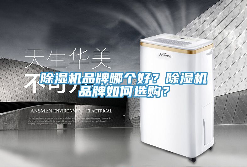 猫咪成人官网品牌哪个好？猫咪成人官网品牌如何选购？