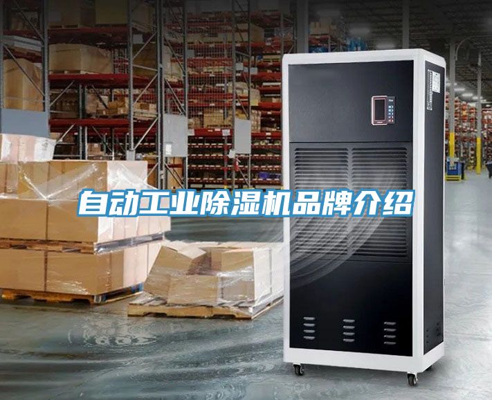 自动工业猫咪成人官网品牌介绍
