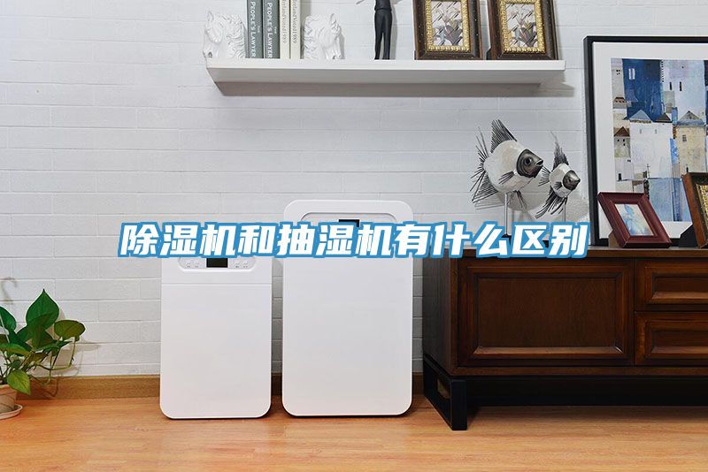 猫咪成人官网和抽湿机有什么区别