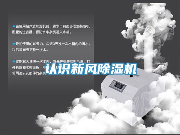 认识新风猫咪成人官网
