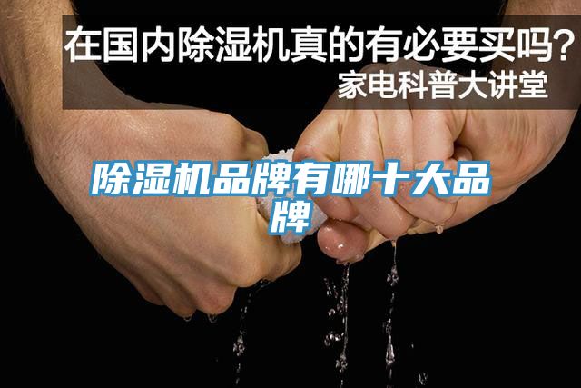 猫咪成人官网品牌有哪十大品牌